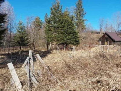 Daunting Homestead Tasks Offer Life Lessons Image